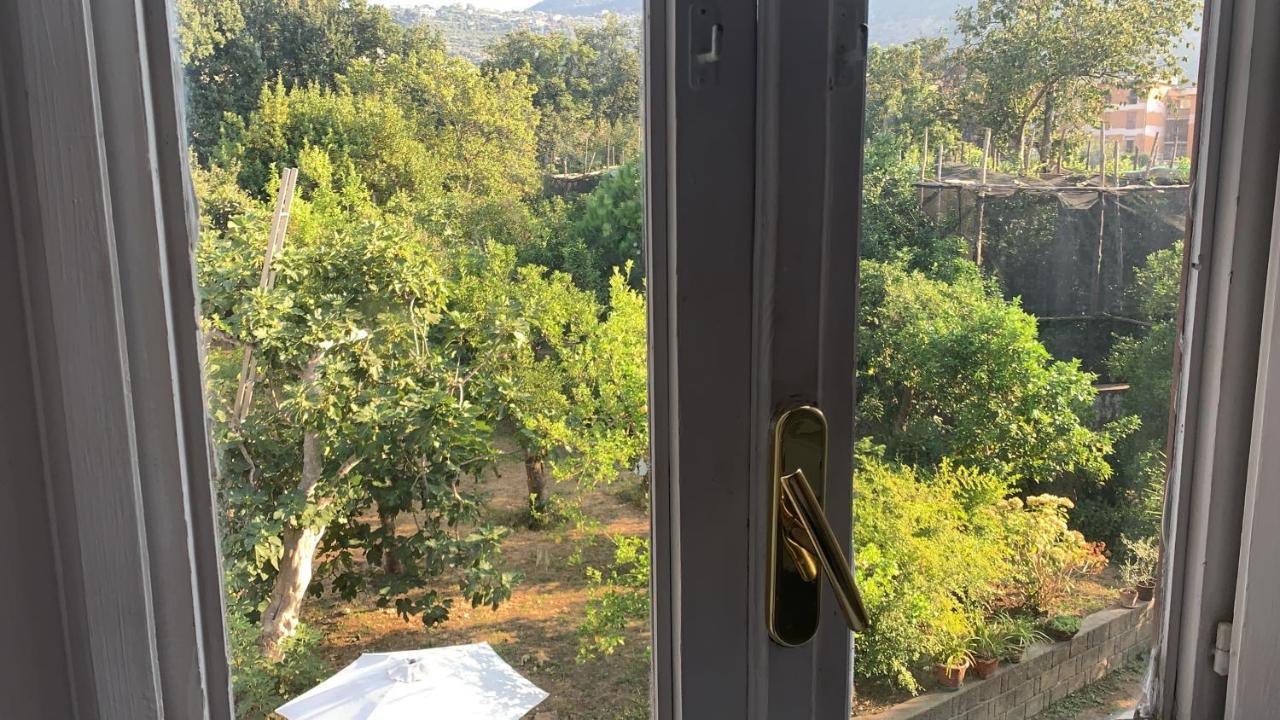 B&B Antica Dimora Piano di Sorrento Dış mekan fotoğraf
